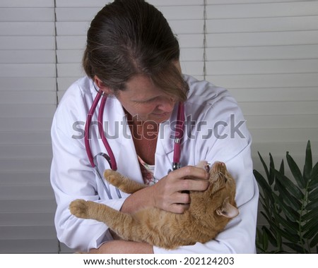 Male orange tabby cat on exam table with female veterinarian examining