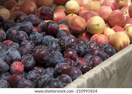 Farmer\'s Market fresh plums and peaches