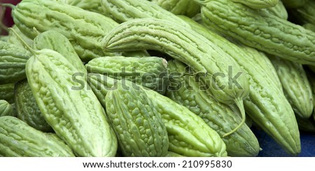 Farmer\'s Market fresh bitter melon, also known as balsam pear, bitter cucumber, balsam apple, art pumpkin, cerasee, and carilla cundeamor