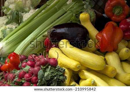 Farmer\'s Market fresh radishes, summer squash, egg plant, red bell peppers, celery, cauliflower