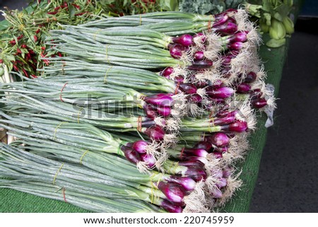 bunches of spring onions locally grown for farmers market sale