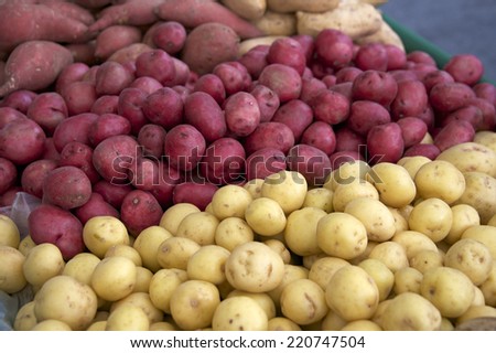 fresh red and white potatoes grown locally for farmers market