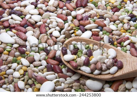 Fifteen beans for bean salad on a wooden spoon on top of a pile of beans and lentils.