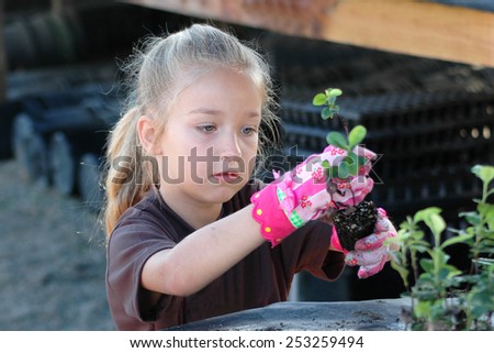 Cute young girl transplanting seedlings for a community service project. Intent on her work. Learning gardening skills.