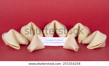 Chinese Fortune Cookies on a red background one broken open with fortune showing, with message A stranger, is a friend you have not spoken to yet, with five more cookies in the background.