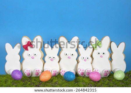 Easter Bunny Sugar Cookies homemade covered in home made marshmallow fondant, decorated with candy eyes, nose, feet and bow Large and small bunnies standing on pseudo grass blue background easter eggs