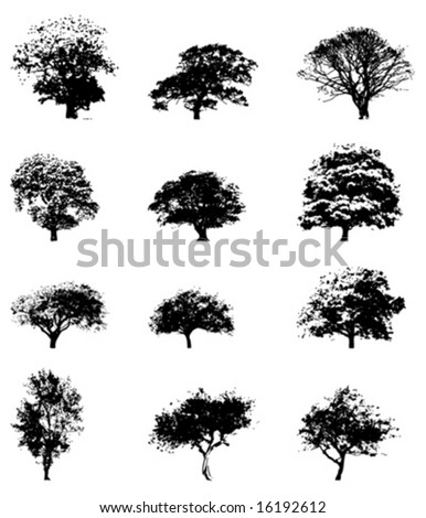 Set Of Trees Stock Vector Illustration 16192612 : Shutterstock