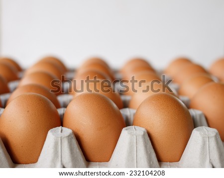 Group of fresh eggs in paper tray