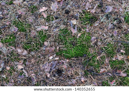 needles ground cover texture, background