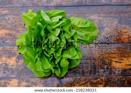 Butter Lettuce  green salad vegetable organic healthy