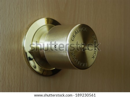 The close-up of metal lock in the door.