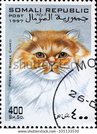 SOMALI - CIRCA 1997: A stamp printed in Somali shows Persian Smoke Cameo cat, circa 1997