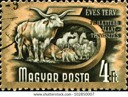 HUNGARY - CIRCA 1950: A Stamp printed in Hungary shows farm animals - cows, pigs, sheep, and horses, series 5 year plan, circa 1950