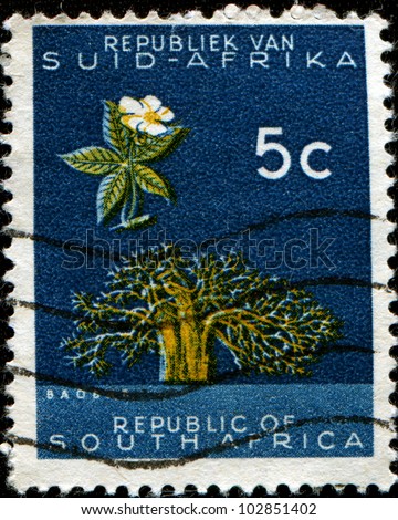 SOUTH AFRICA - CIRCA 1961: A stamp printed in the South Africa shows Baobab (Adansonia digitata), circa 1961