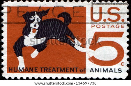 USA - CIRCA 1966: A  stamp printed in United States of America shows Mongrel dog, humane treatment of all animals, circa 1966