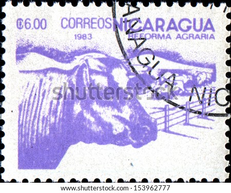 NICARAGUA - CIRCA 1983:A stamp printed in Nicaragua  shows cow,  Agriculture Nicaragua series, circa 1983