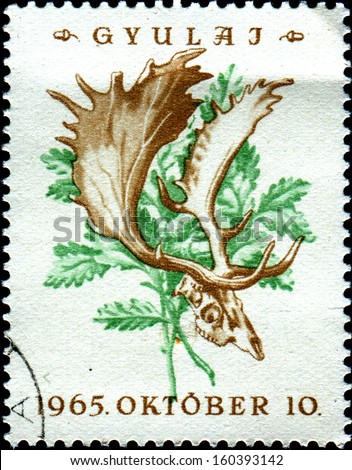 HUNGARY- CIRCA 1966: A stamp printed in Hungary shows Hunting Trophies, elk skull, circa 1966