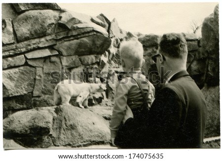 GERMANY -  1960s: An antique photo shows man with a boy looking at the polar bear in zoo