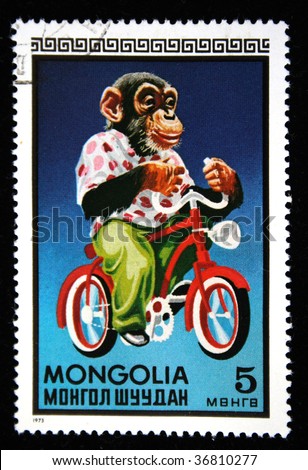 MONGOLIA - CIRCA 1973: A stamp printed in Mongolia shows Mokey on the Bicycle in the circus, one stamp from series, circa 1973