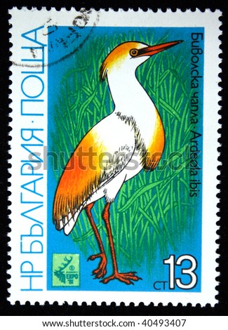 BULGARIA - CIRCA 1981: A stamp printed in Bulgaria shows bird Cattle Egret - Ardeola ibis, circa 1981