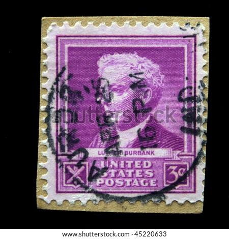 UNITED STATES OF AMERICA - CIRCA 1910s: A stamp printed in the USA shows image of President Luther Burbank, circa 1910s
