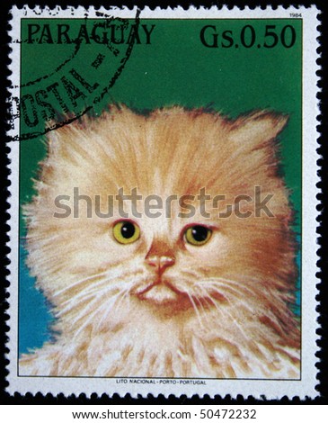 PARAGUAY - CIRCA 1984: A stamp printed in Paraguay shows Persian cat, circa 1984