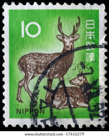 JAPAN - CIRCA 1982: A stamp printed in Japan shows sika deer and fawn, circa 1982