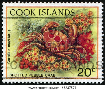 COOK ISLANDS - CIRCA 1998: A stamp printed in Cook Islands shows Spotted Pebble Crab - Carpilius maculatus, circa 1998