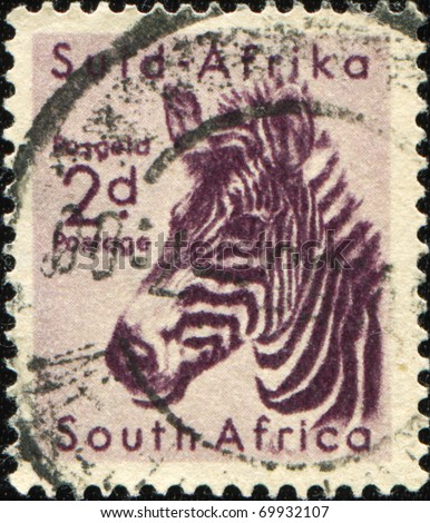 SOUTH AFRICA - CIRCA 1949: A stamp printed in South Africa shows zebra, series, circa 1949