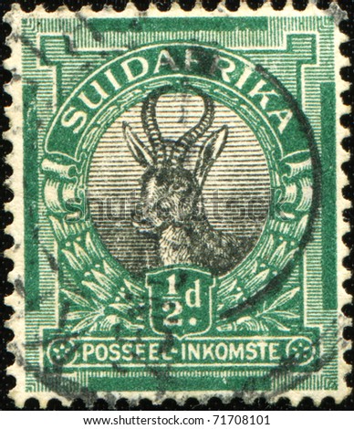 SOUTH AFRICA - CIRCA 1930/45: A stamp printed in South Africa shows Springbok (antelope), circa 1930/45