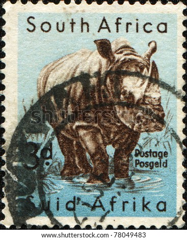 SOUTH AFRICA - CIRCA 1954: A stamp printed in South Africa shows White Rhinoceros or Square-lipped rhinoceros (Ceratotherium simum), series, circa 1954