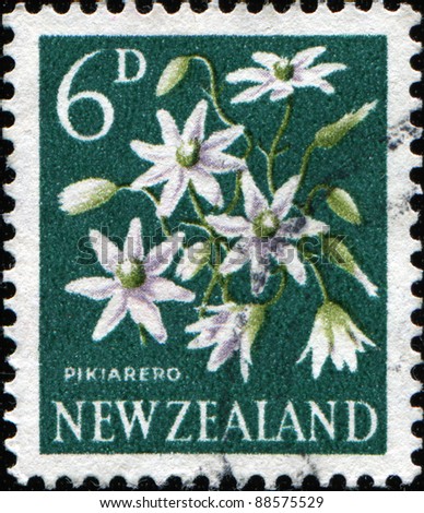 NEW ZEALAND - CIRCA 1960: A stamp printed in New Zealand shows flower Pikiarero New Zealand Clematis, circa 1960
