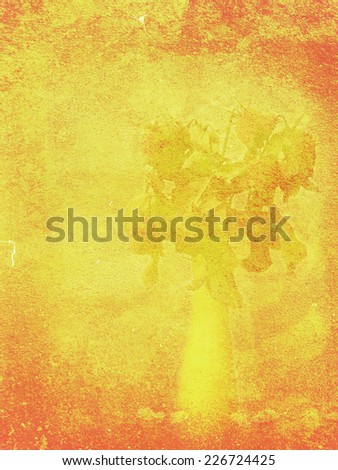 Red-orange painted wall, grunge background with rose bouquet shadow.