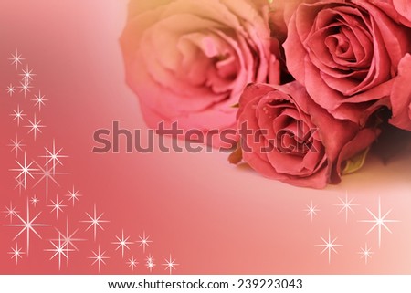 Pink roses bouquet with star on background.