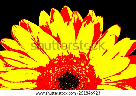 Half of orange and yellow gerbera flower, posterize style image.
