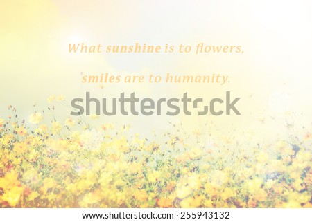 Inspirational Typographic Quote - What sunshine is to flowers, 
smiles are to humanity. with spring flowers field background.