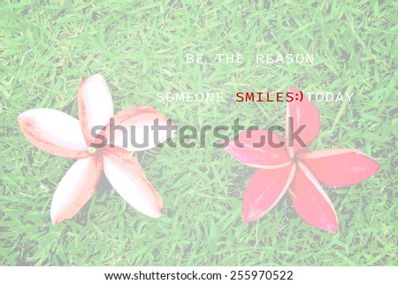 Inspirational Typographic Quote - Be the reason someone smiles today, with red frangipani flowers on grass background.