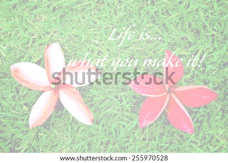 Inspirational Typographic Quote - Life is what you make it! with red frangipani flowers on grass background.