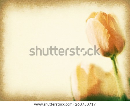 Vintage postcard, orange tulip in garden, soft light on old paper texture style image. floral background.