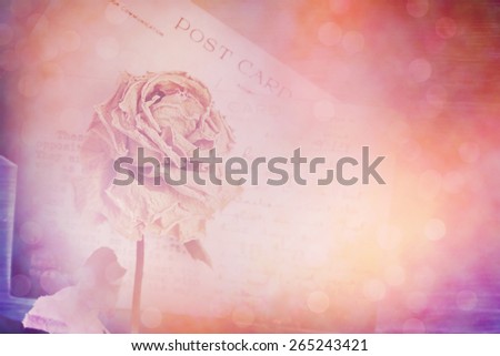 Dry rose and old postcard. Lens flare and bokeh effect, vintage photo retro style for background.