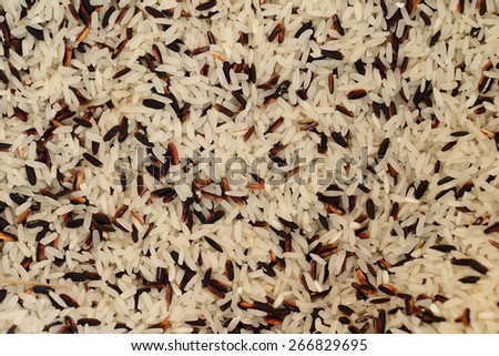coarse rice or half polished rice background, uncooked raw cereals.
