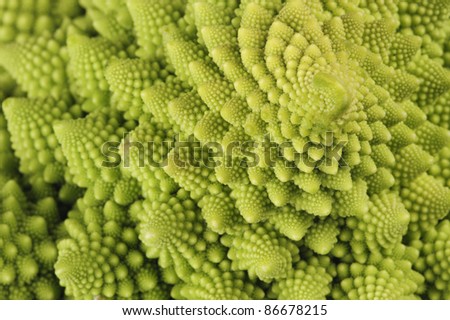 Natures own fractals -  Romanesque cauliflower