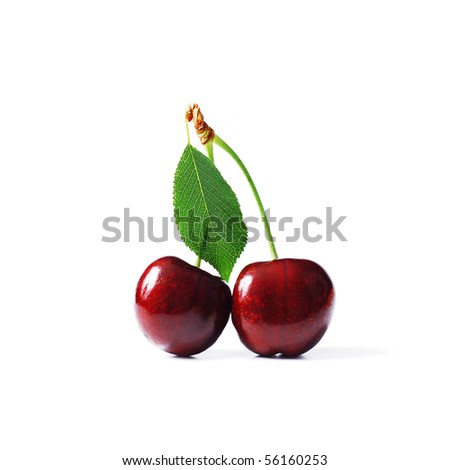 juicy cherries