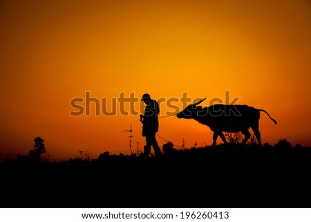 Silhouette of Asian farmers and buffalo