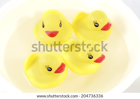 Yellow duck in the bath
