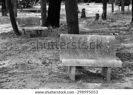 Stone bench in park