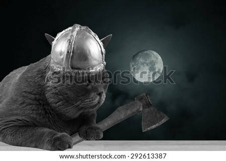 Funny viking cat and Moon