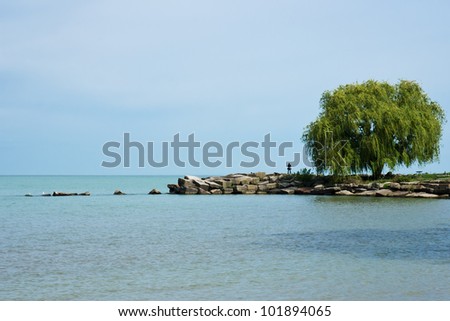 A solo person stands near a willow tree on a point of land jutting out into Lake Erie at Edgewater Park in Cleveland, Ohio