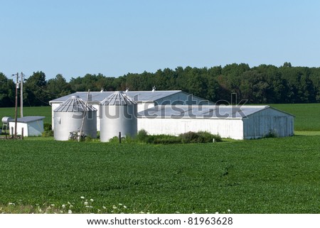 Barn and Silo Complex A small barn and a pair of grain silos surrounded by a soybean crop on a family farm in rural Ohio