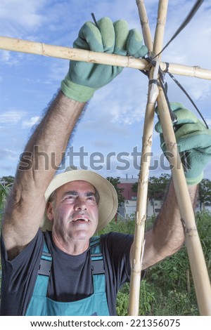 closeup of a middle aged farmer preparing the canes of the tomato plants with ropes at his urban vegetable garden - focus on the face